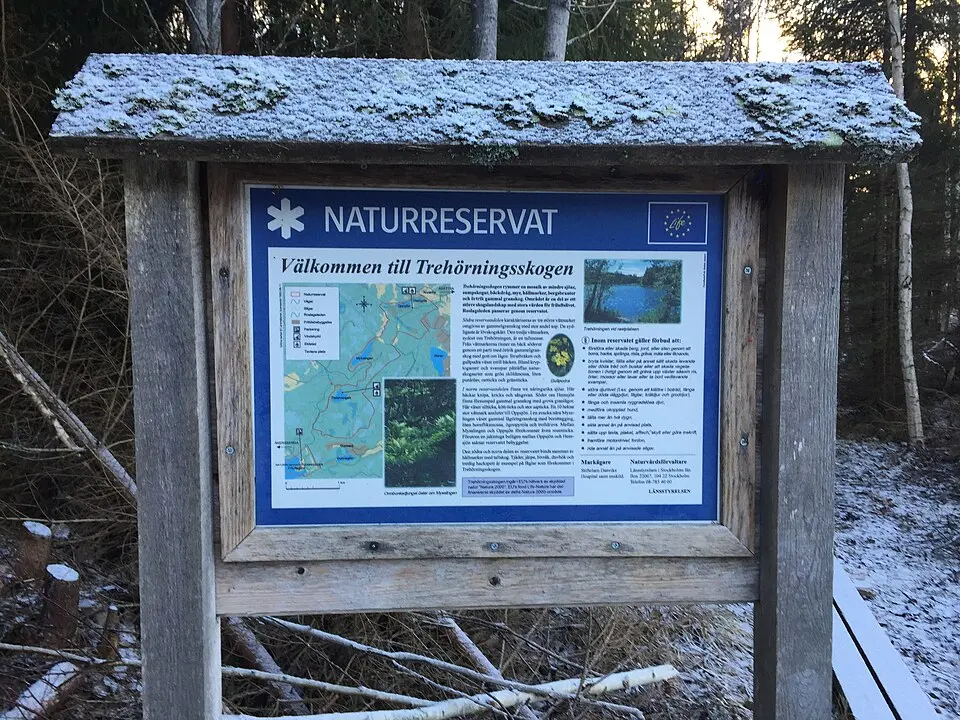 Trehörningsskogen