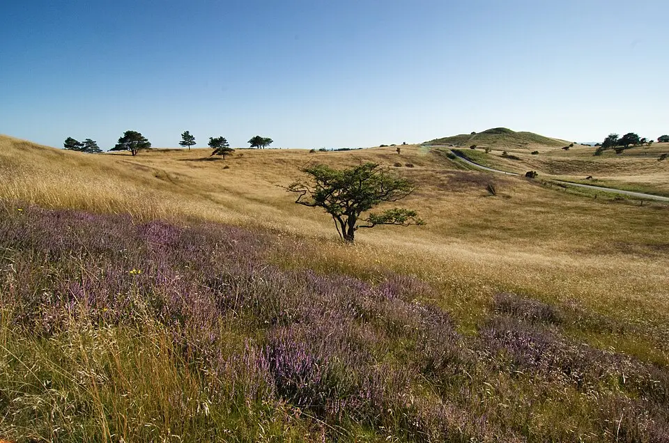 Nationalpark Mols Bjerge