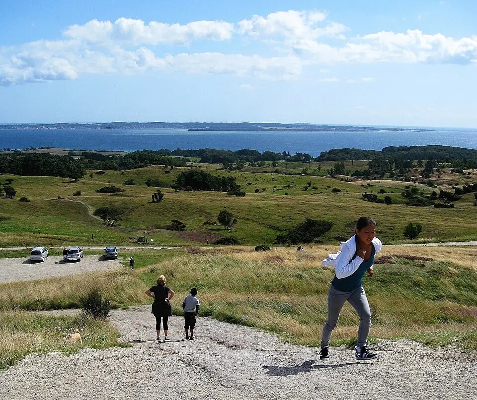 Trehøje