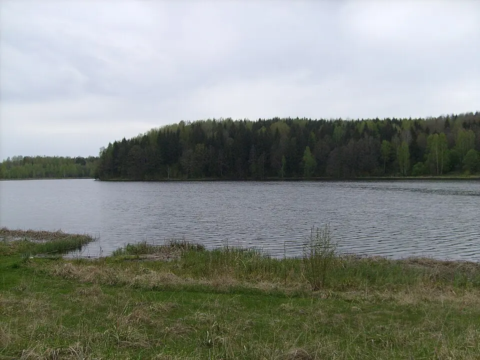 Дрыбінскі раён