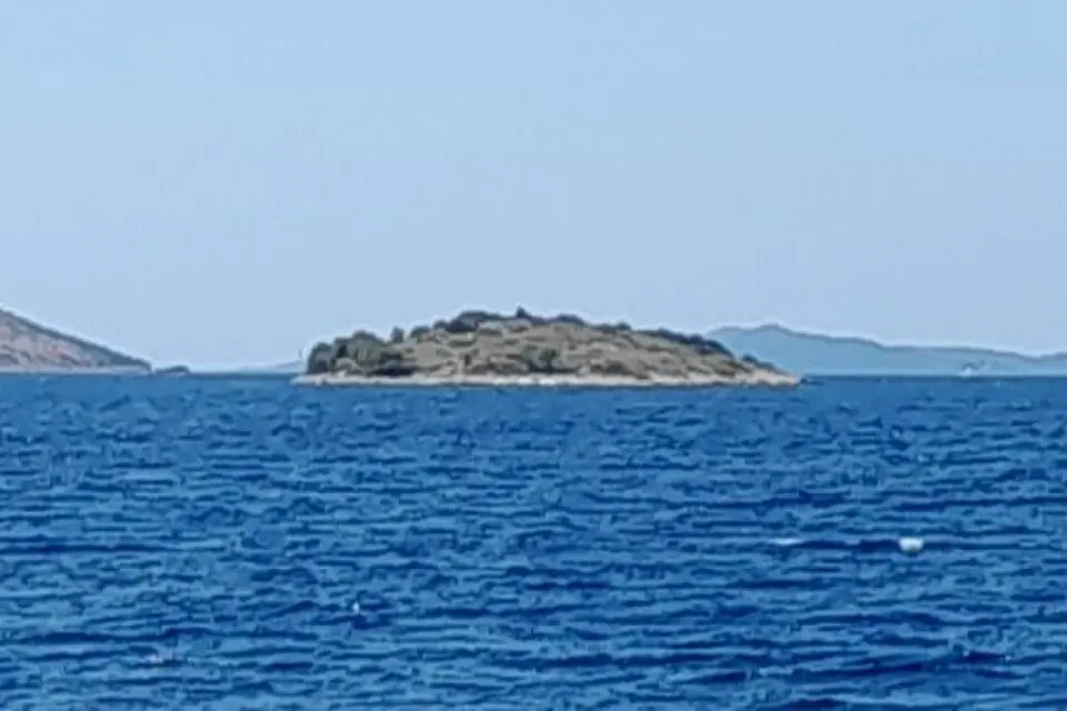 Trimulić Veliki