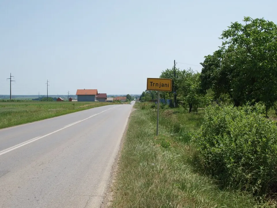 Trnjani