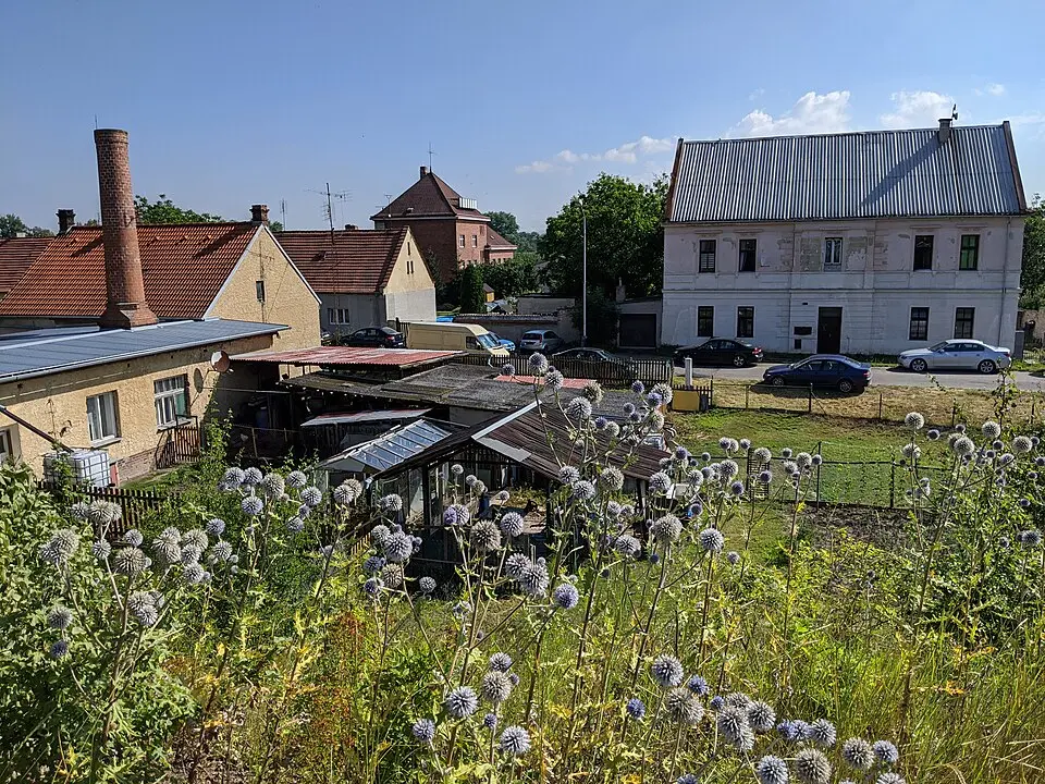Trnovany