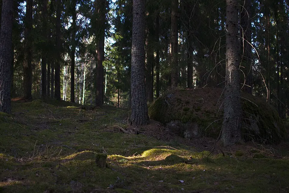 Trolldalen