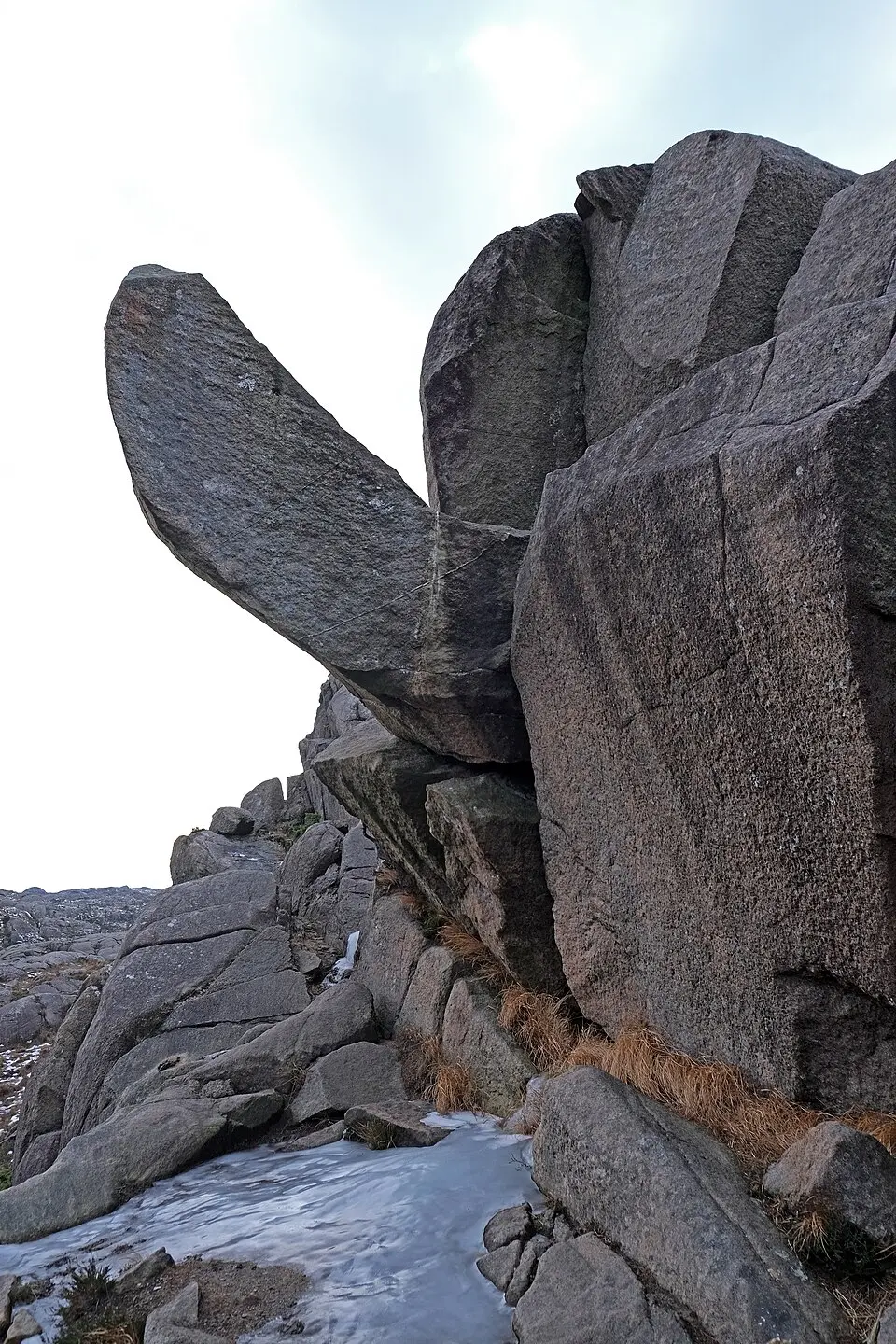 Trollpikken