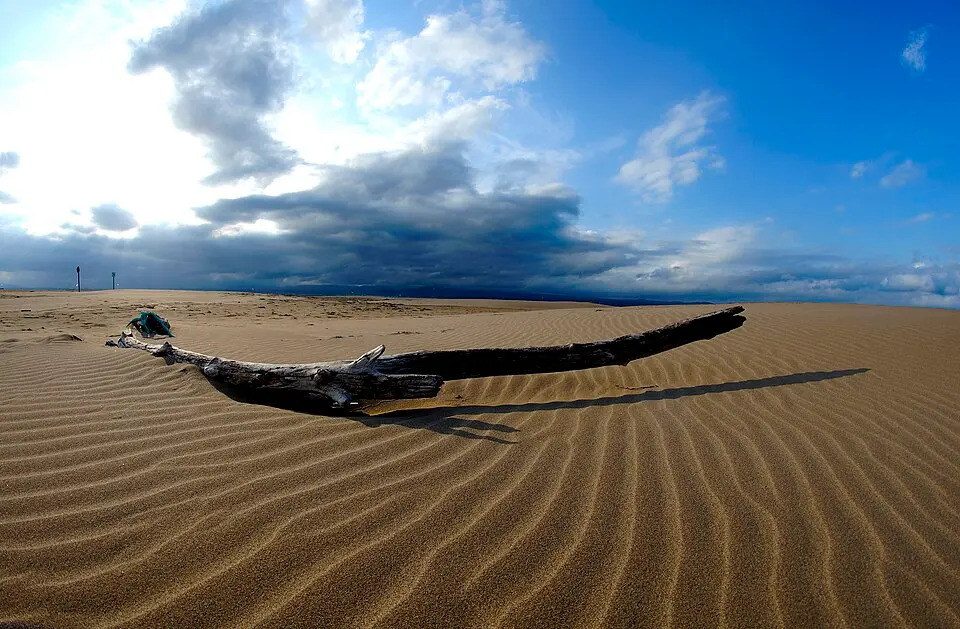 Punta del Fangar
