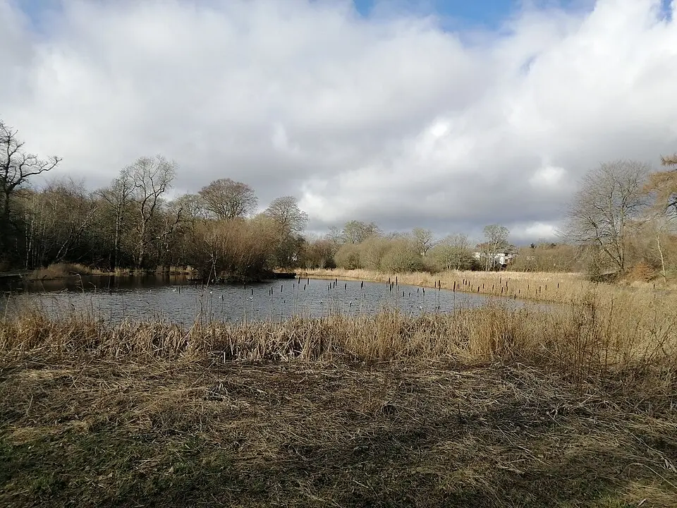 Obrázok: KeyKing666 · CC BY-SA 4.0 Trottick Mill Ponds