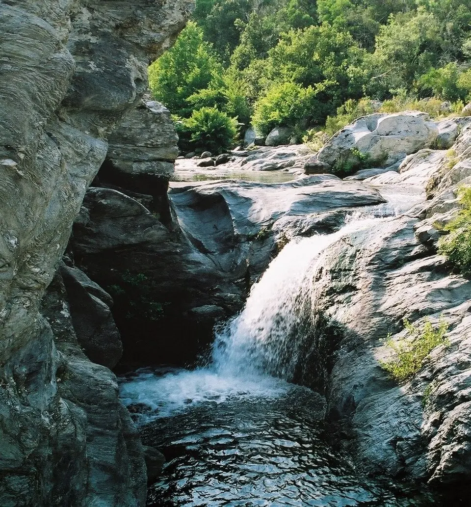 Varagno