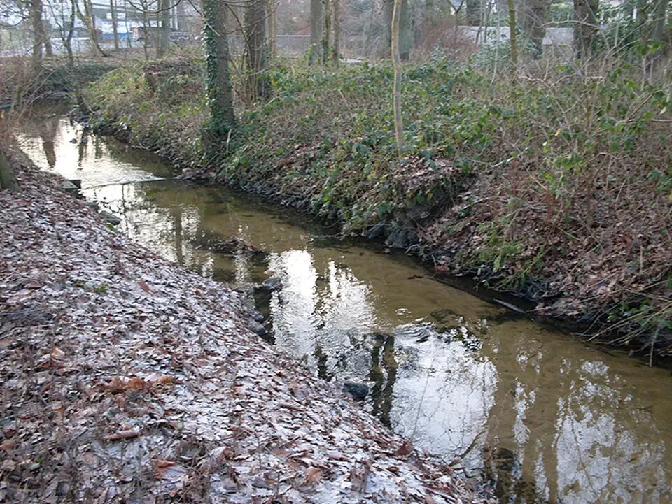 Trüggelbach