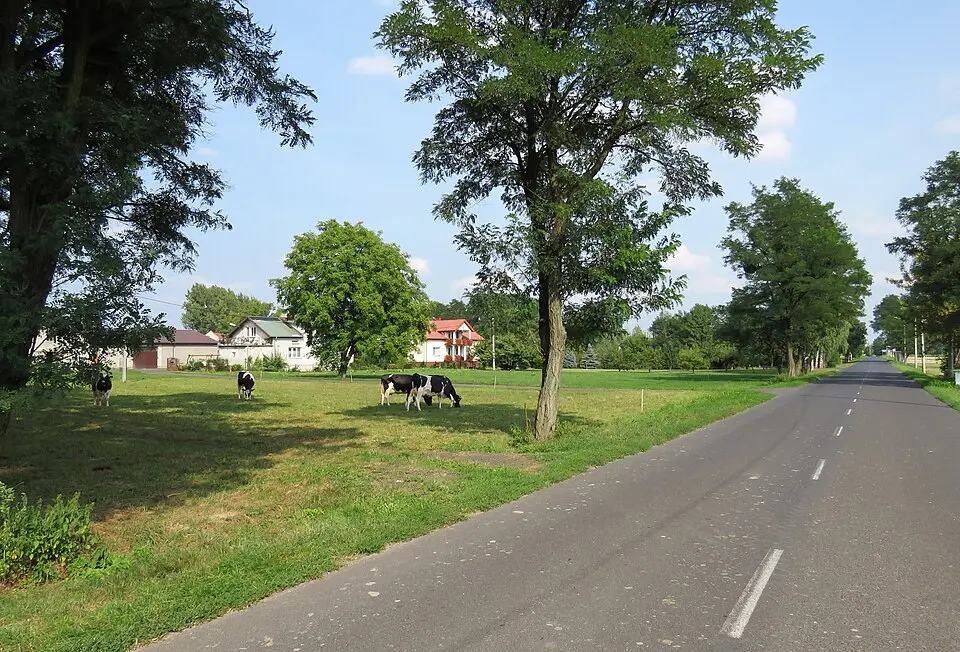 Trzciniec