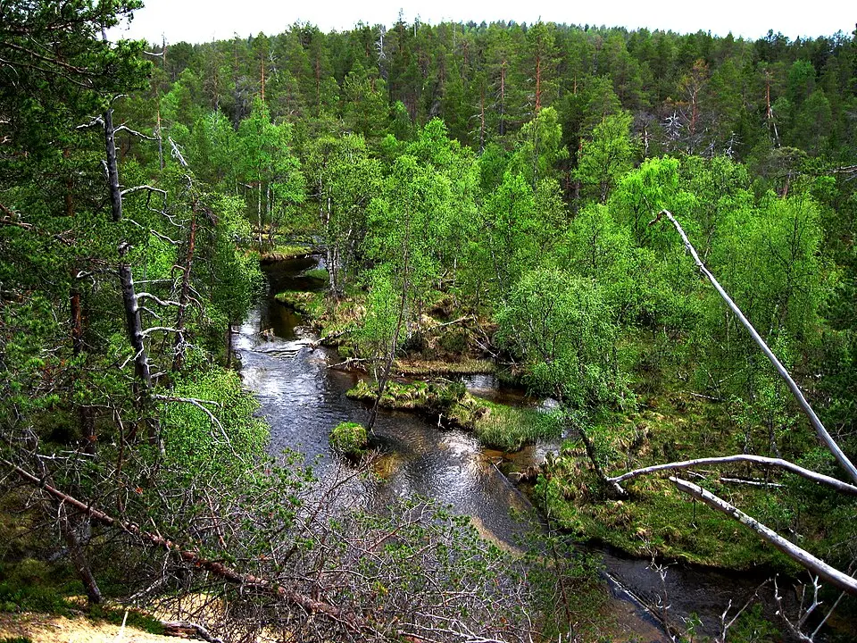 Tsarmitunturin erämaa-alue