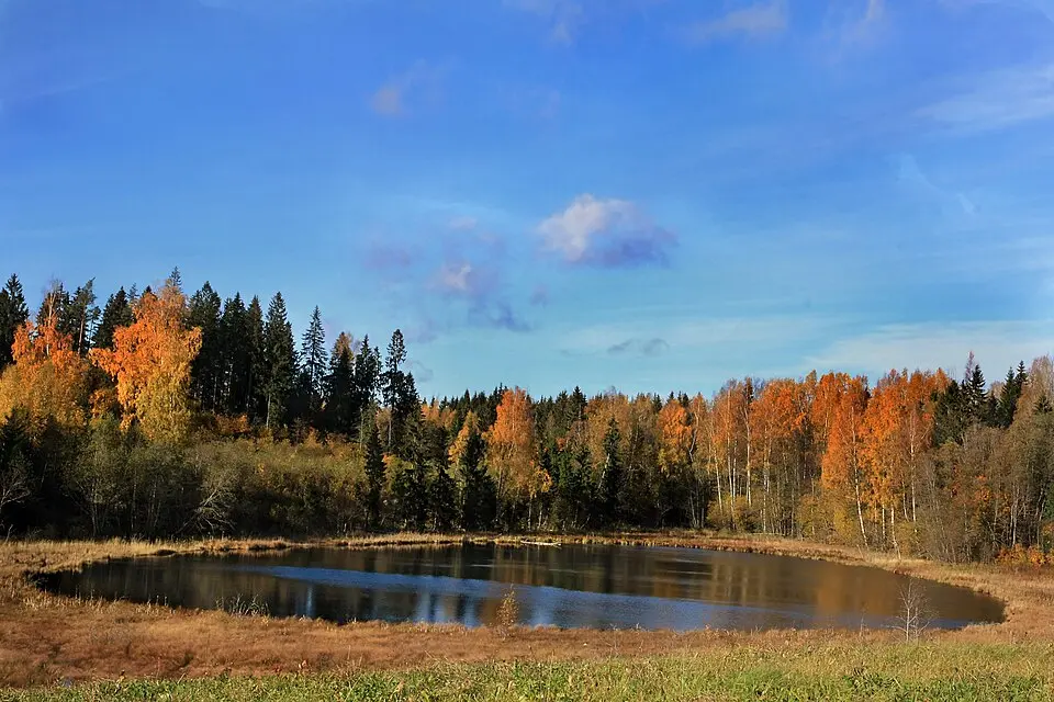 Paavõlka-tó