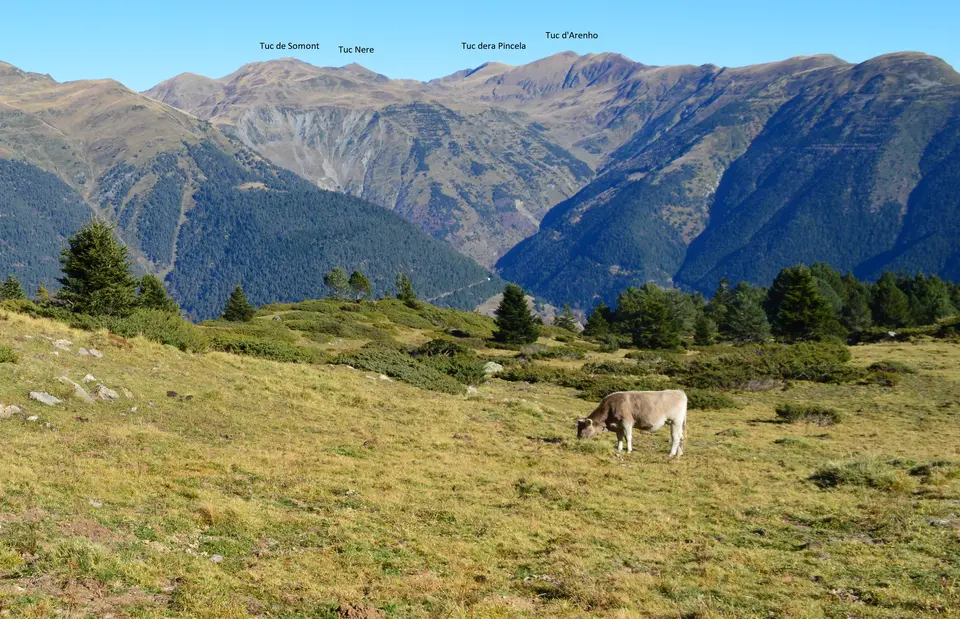 Tuc dera Pincèla