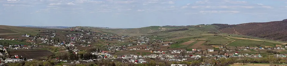 Tudora