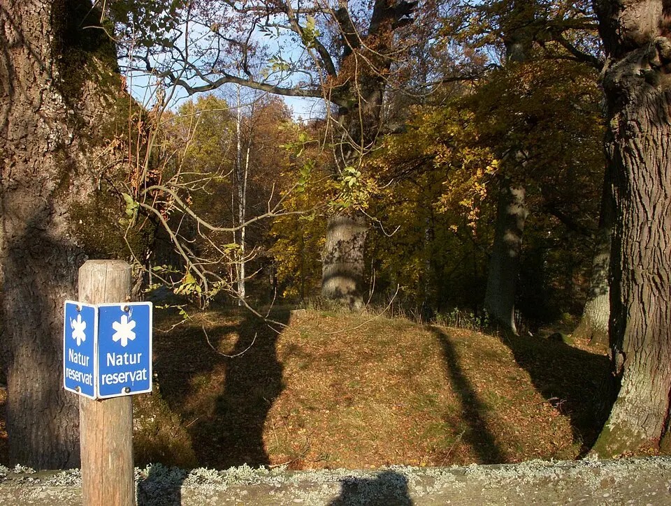 Tullgarn