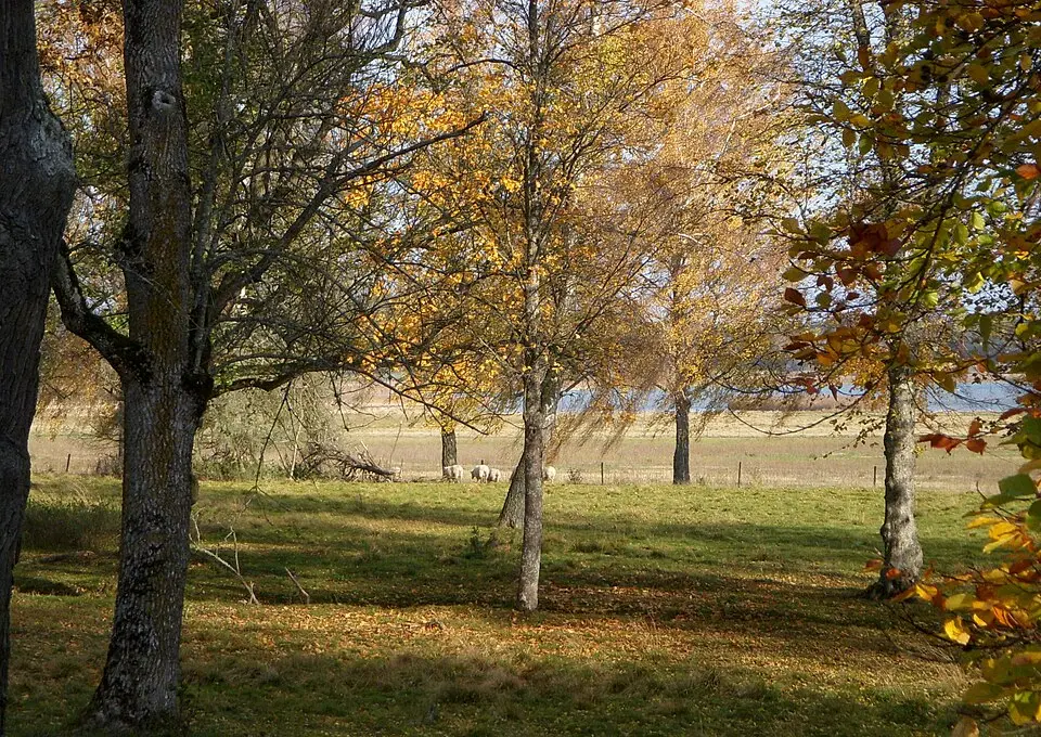 Tullgarns naturreservat