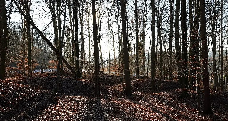 barrow cemetery Glankenwald
