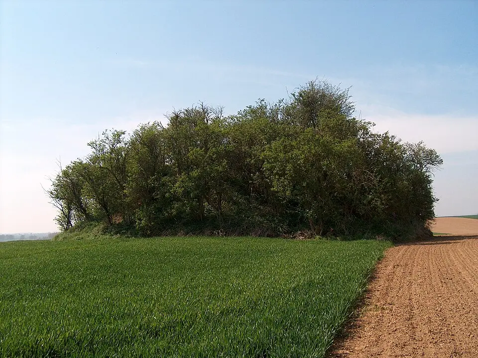 Tumulus van Avernas