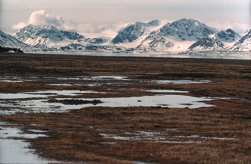Van Mijenfjorden nasjonalpark