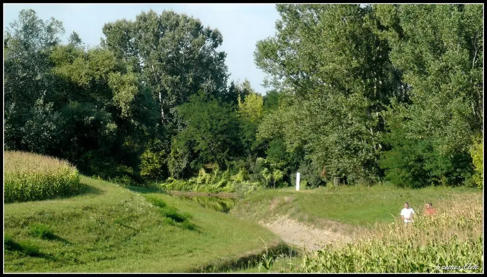Nyírség