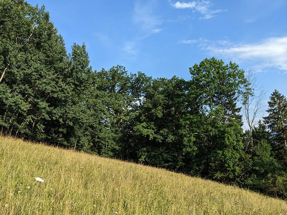 Turícke dubiny