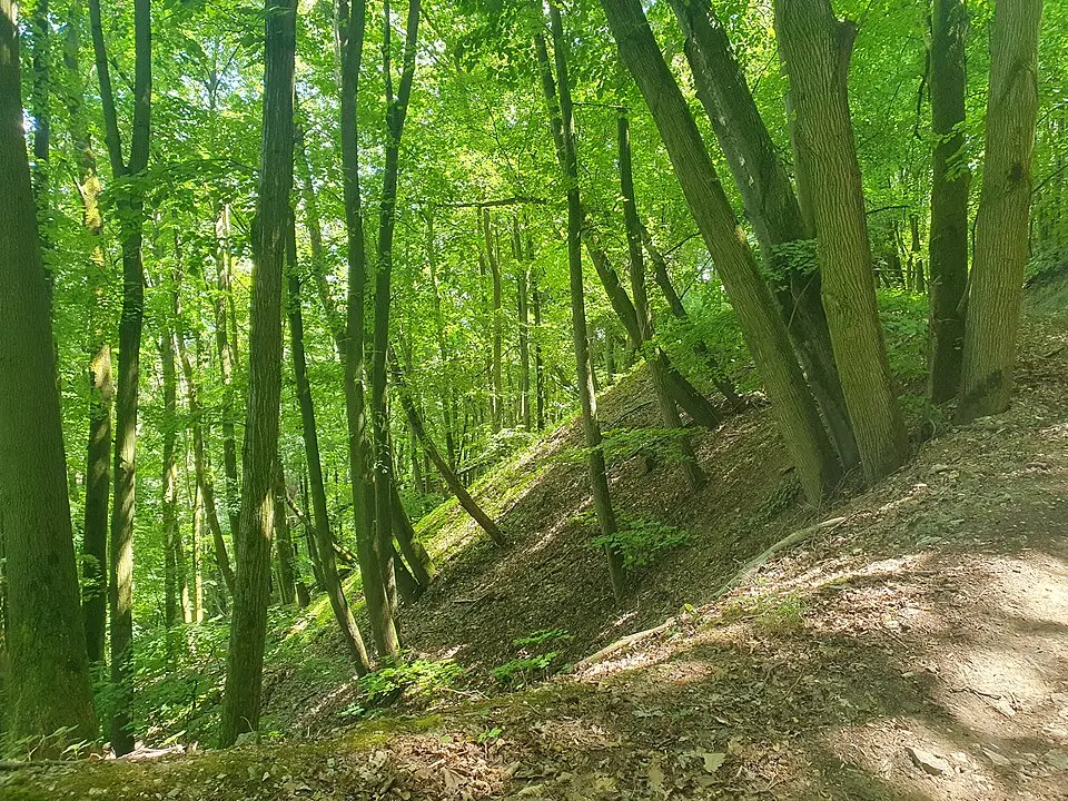 Turecký vrch
