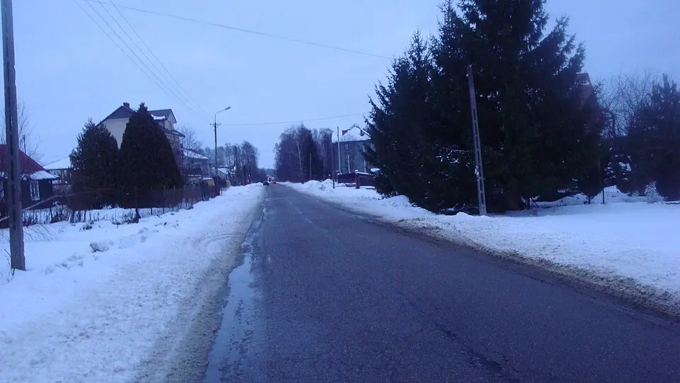 Turek