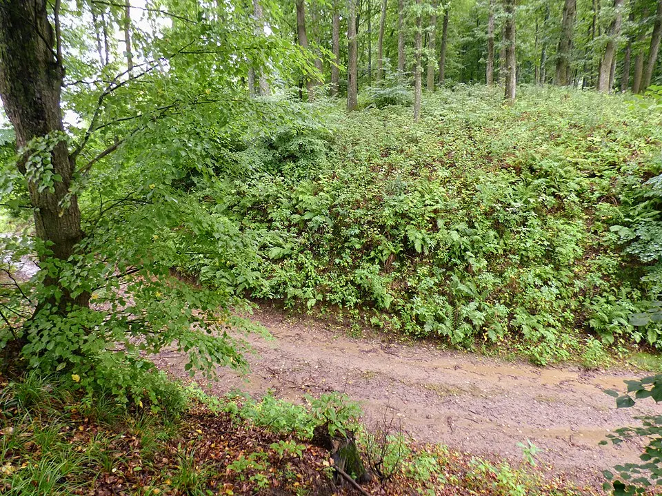 Obrázok: Niki.L · CC BY-SA 4.0 Turmburg im Hainfelder Schlosswald