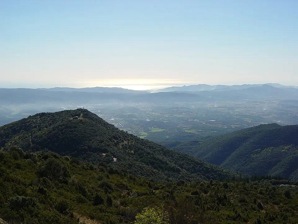 Turó de Sant Elies