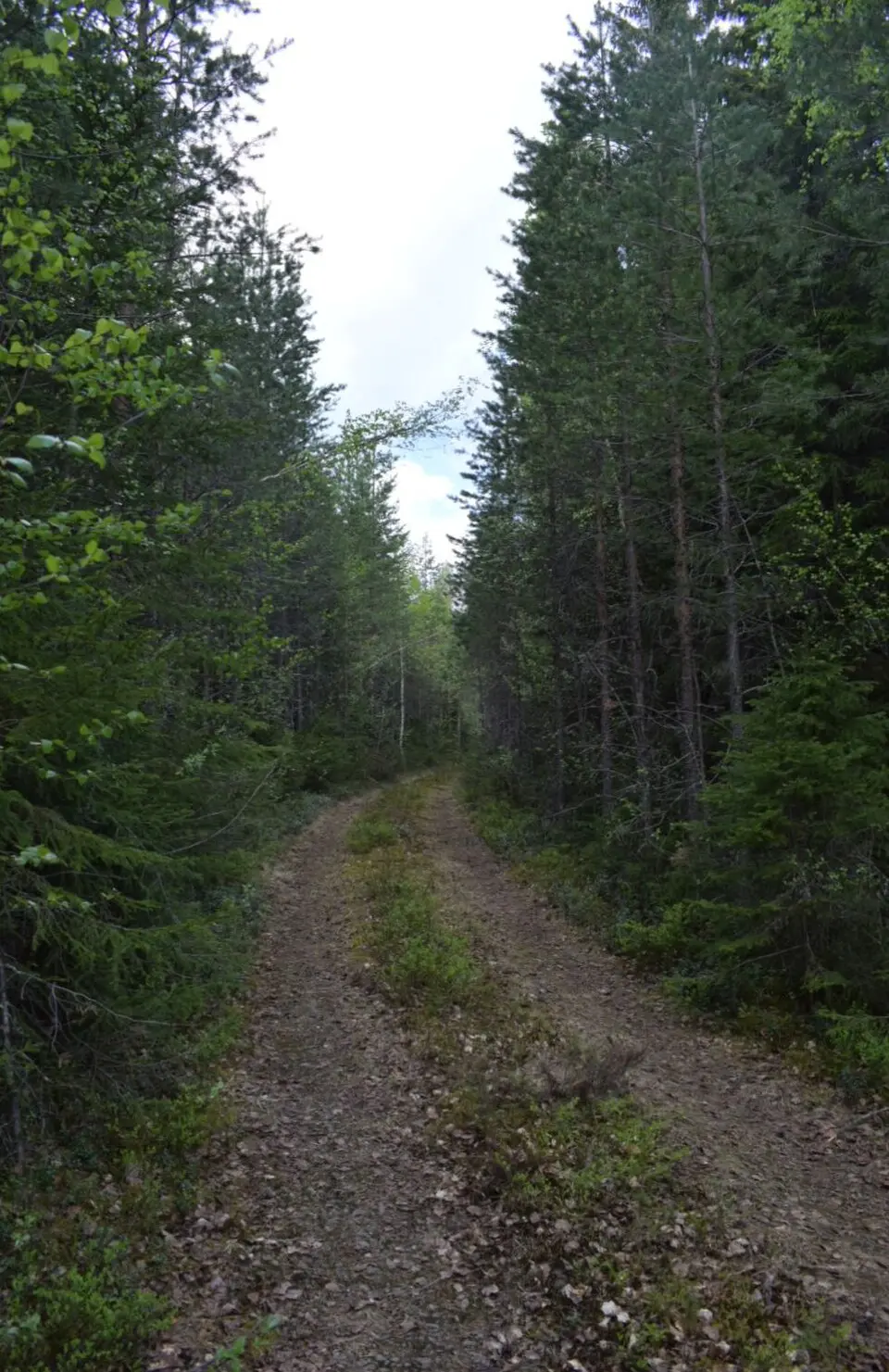 Tuskulum