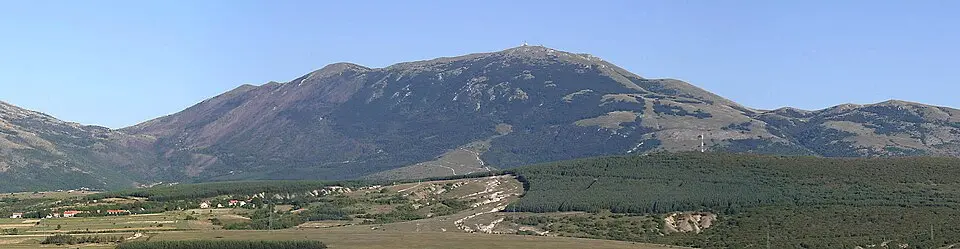 Tušnica