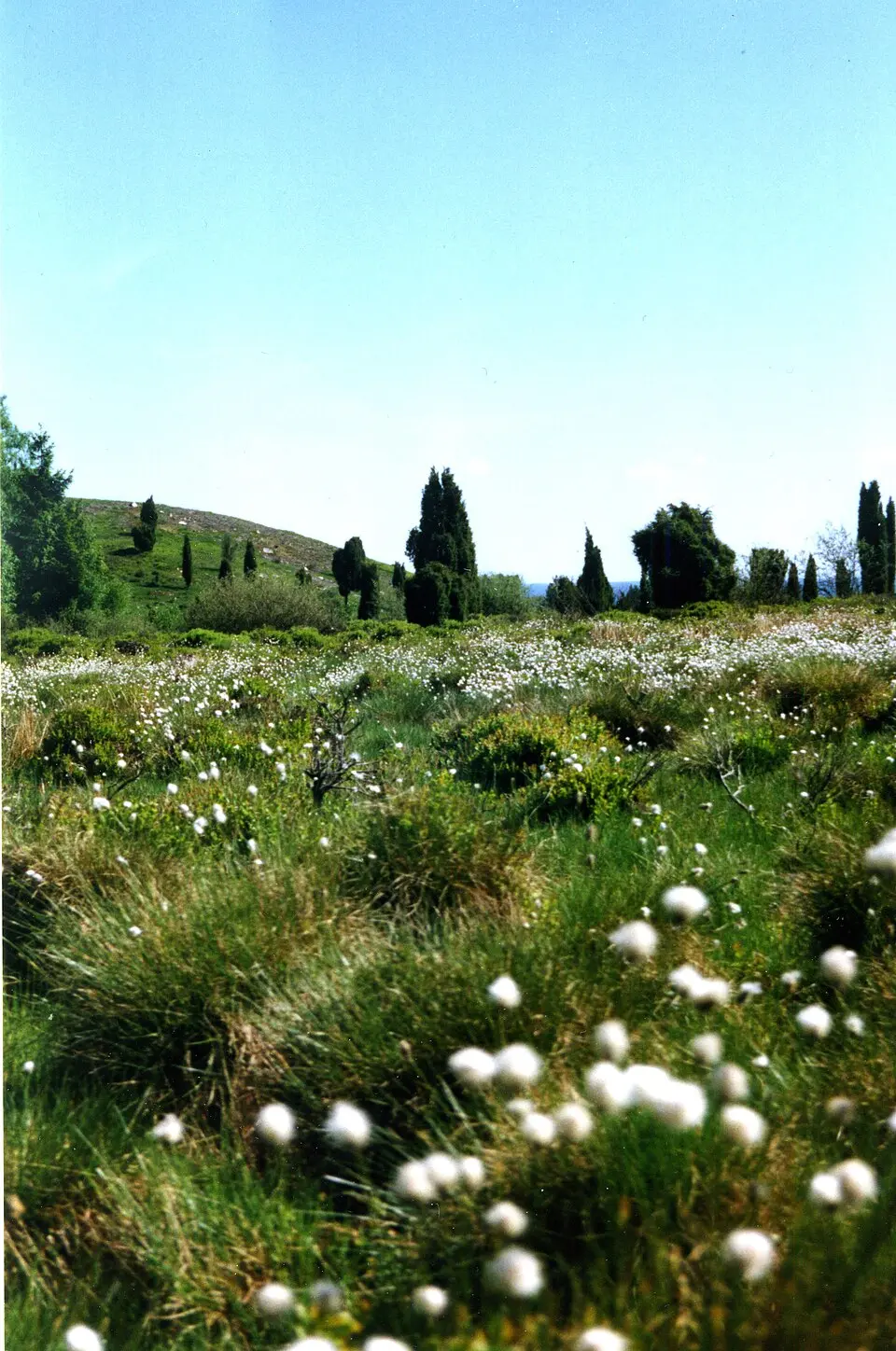 Björsåkra-Bölinge