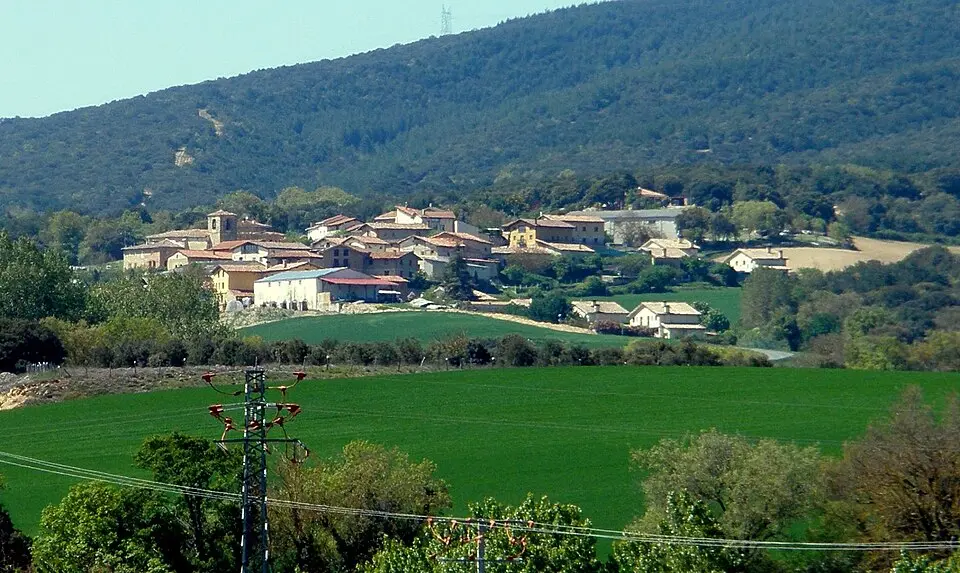 Tuyo