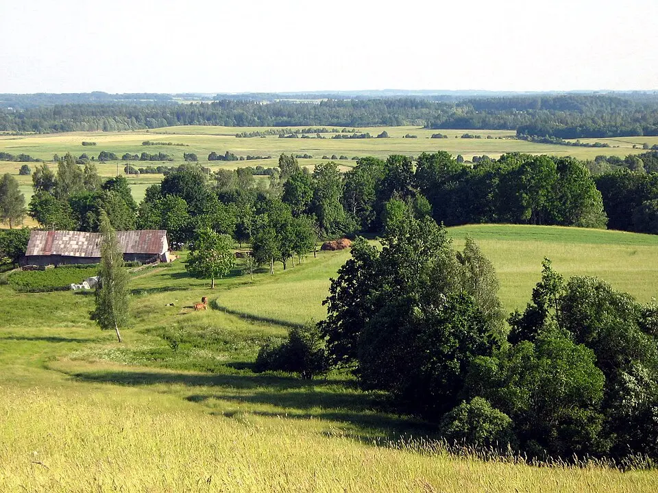 Rietavo savivaldybė