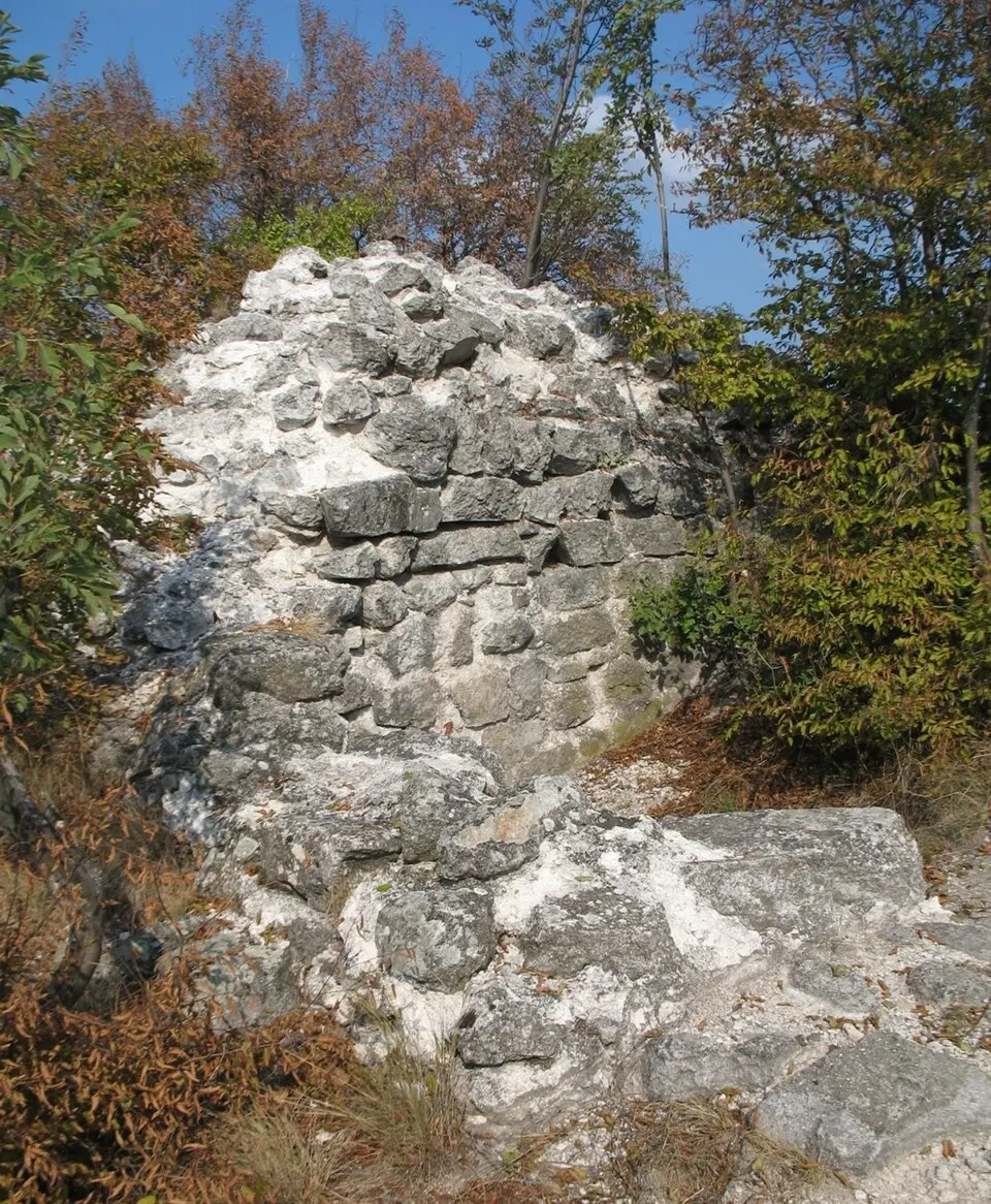 Borač na Kršu