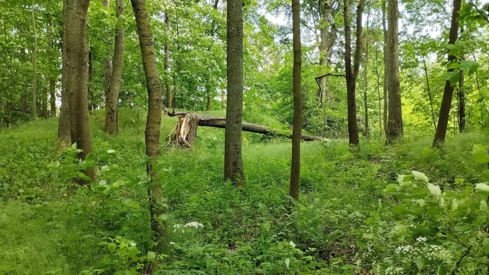 Žďár
