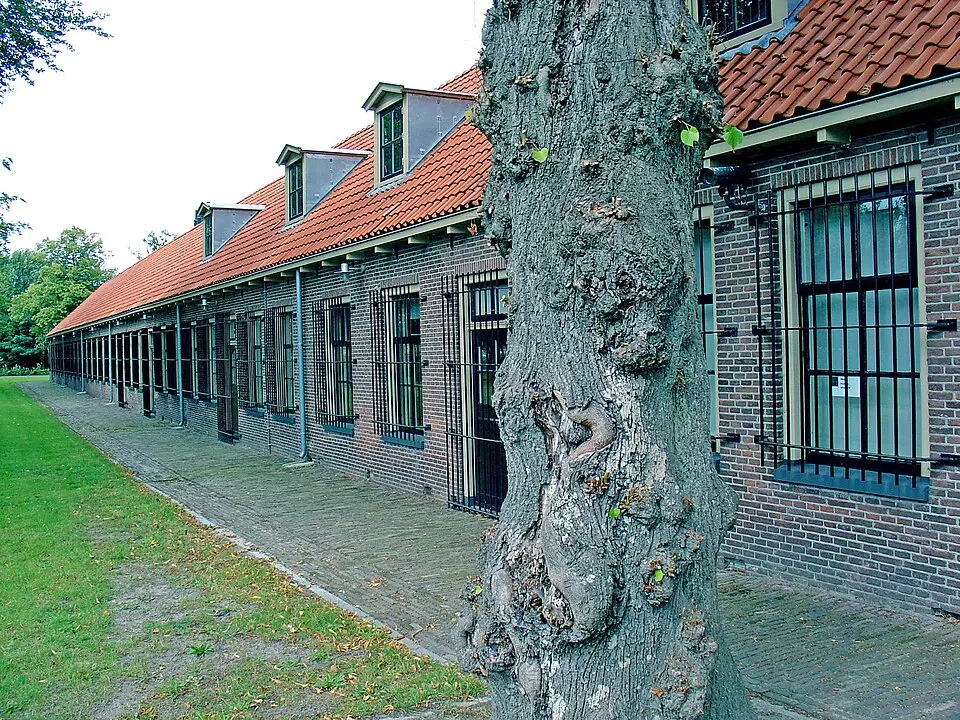 Kolónie benevolencie