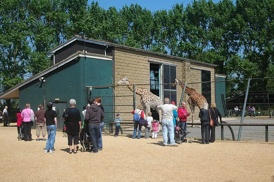 zoo de Twycross