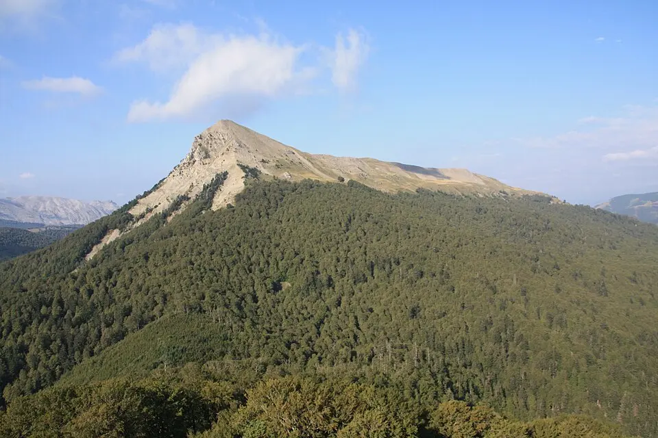 Image: Xabier Eskisabel · CC BY-SA 3.0 Txamantxoia