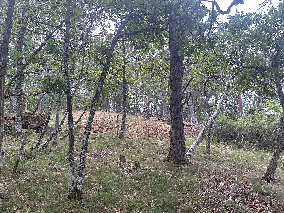 Tynnelsö Djurgård