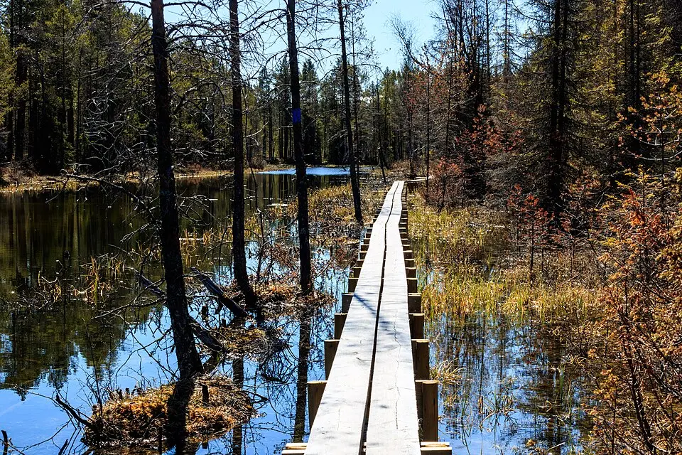 Tysjöarna