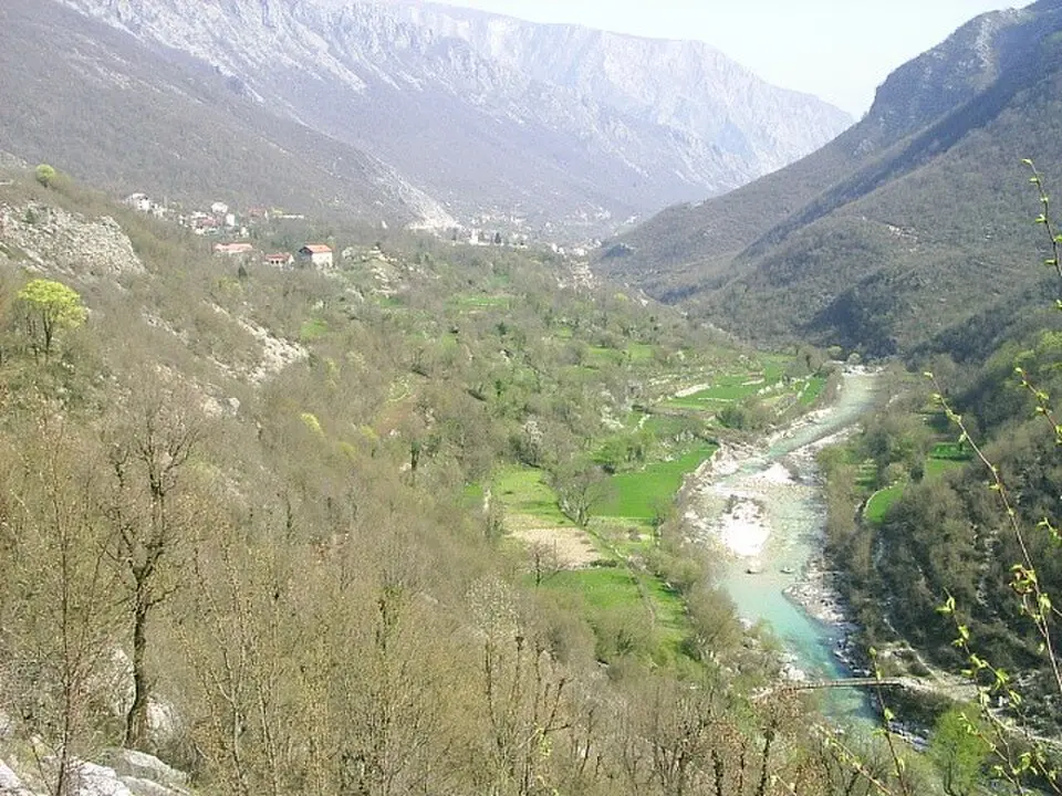 Drežanka