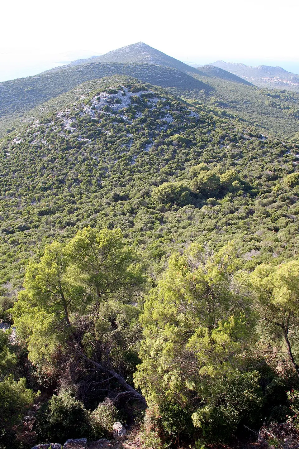 Ugljan