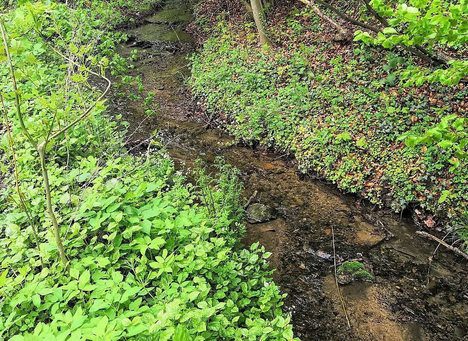 Uhlenbach