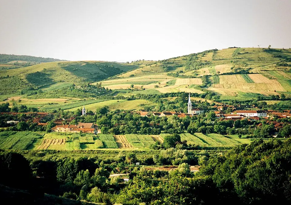 Uileacu de Beiuș