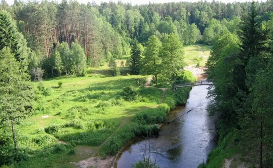 Dainava Forest