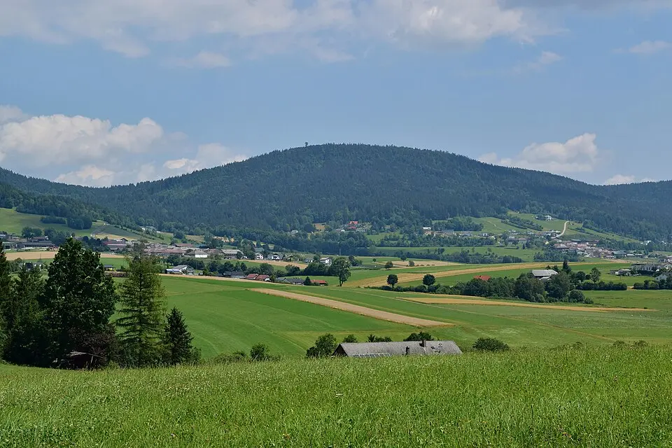 Sulzberg