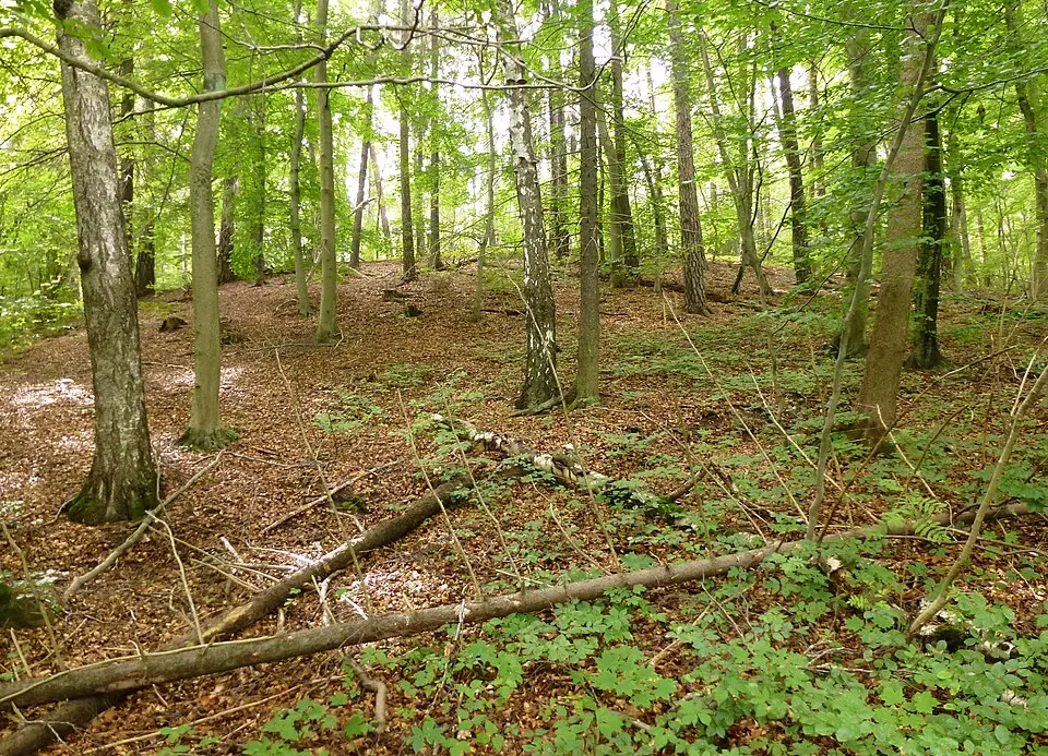 Ulriksdals naturreservat