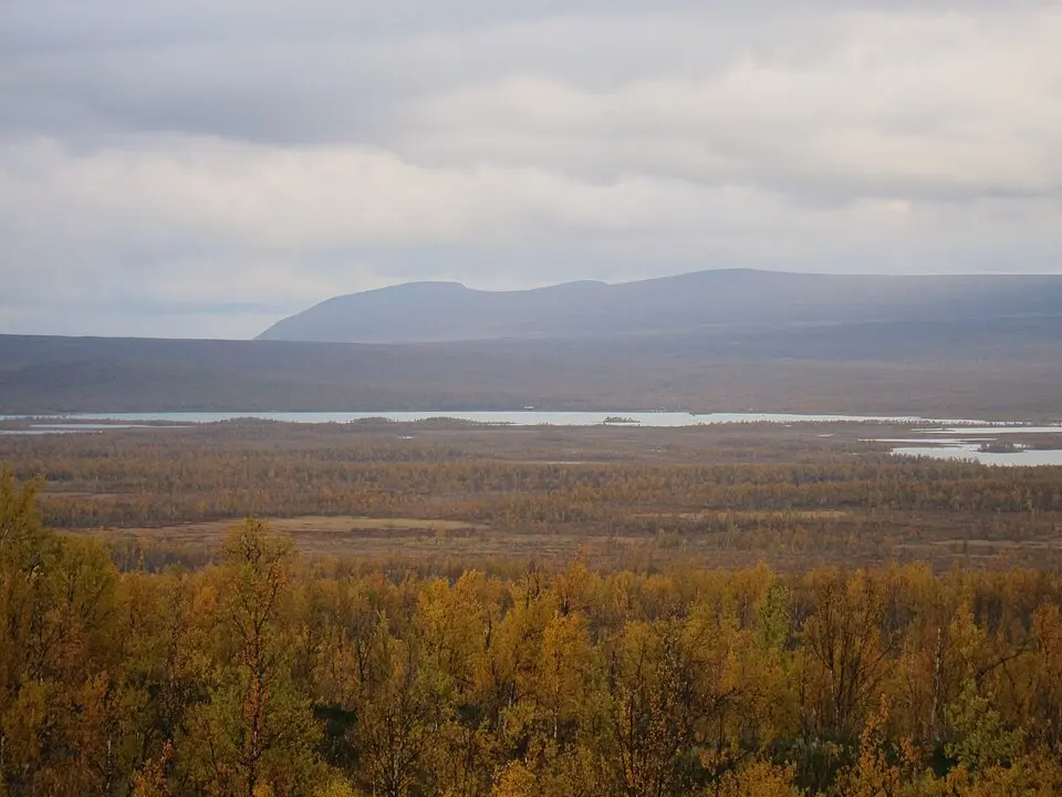 Ultevis fjällurskog