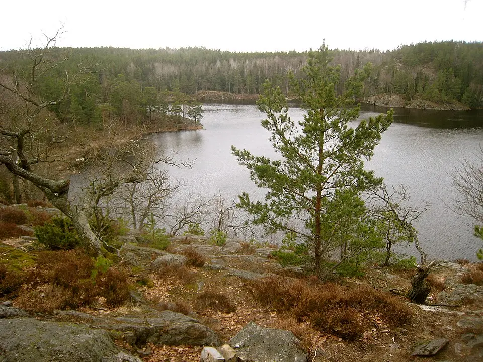 Ulvsjön